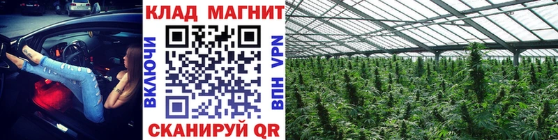 Магазины продажи наркотиков Томмот Каннабис  COCAIN  ГАШИШ  А ПВП  Меф 