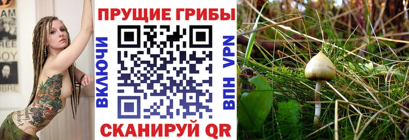Галлюциногенные грибы мухоморы Томмот