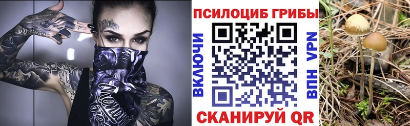 хочу   Томмот  сайты даркнета официальный сайт  Галлюциногенные грибы прущие грибы 